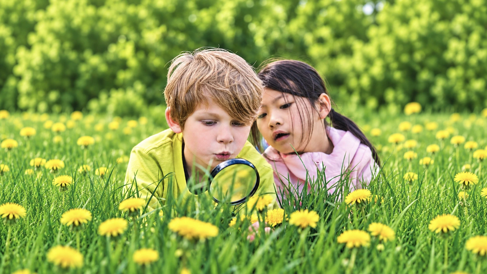 Two children look closely at dandelions through a magnifying glass in a grassy field